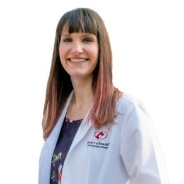 Dr. Laura Ward, Brooklyn Veterinarian