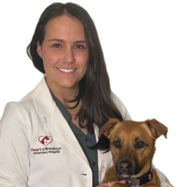 Dr. Rachel Higgins, Brooklyn Veterinarian